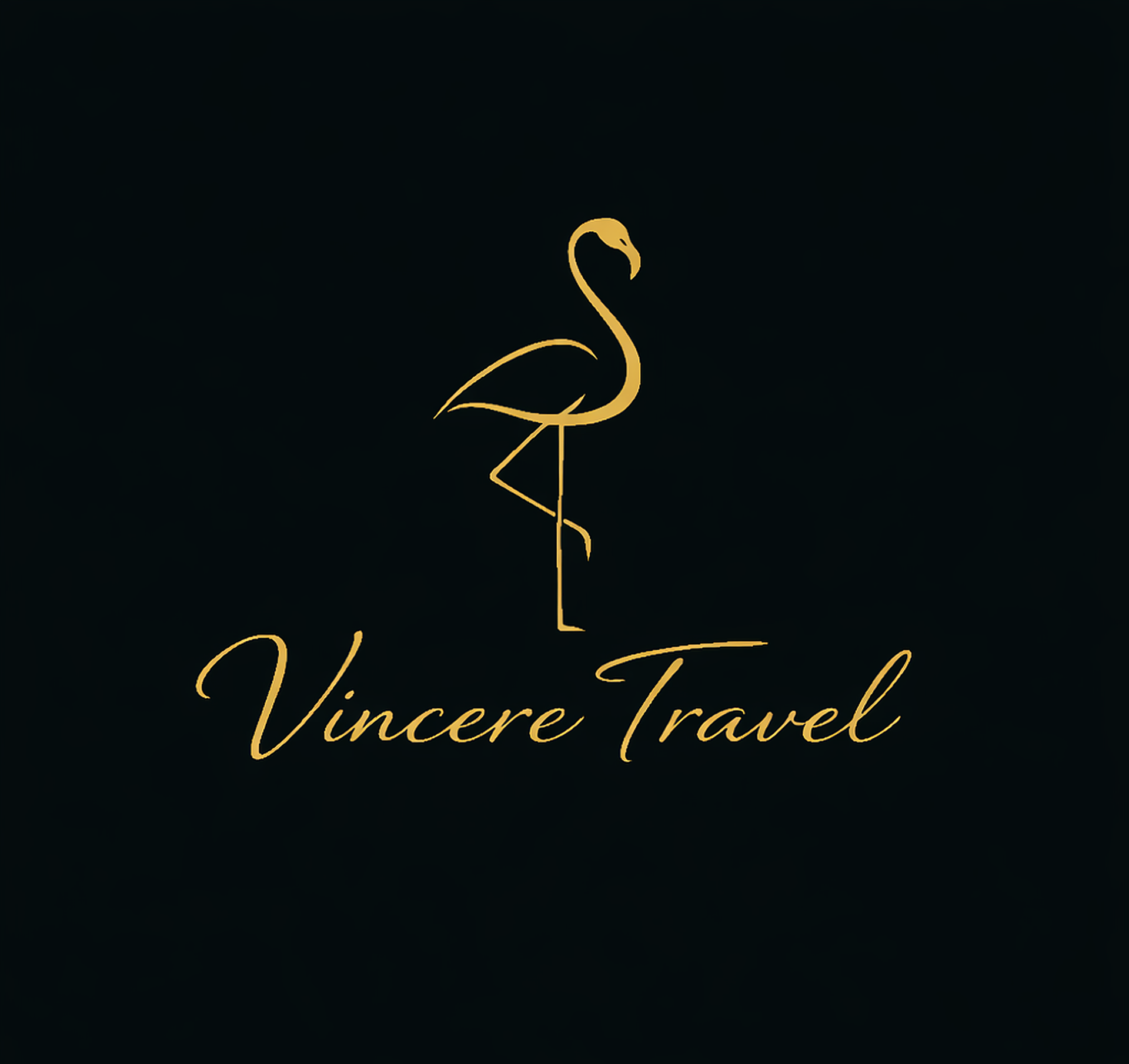 Logo Vincere Travel